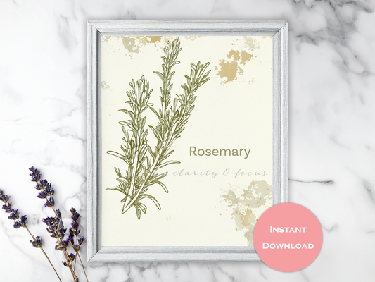 Vintage Rosemary Wall Art Printable – Herb Illustration with 'Clarity & Focus' Benefits | Botanical Kitchen Decor